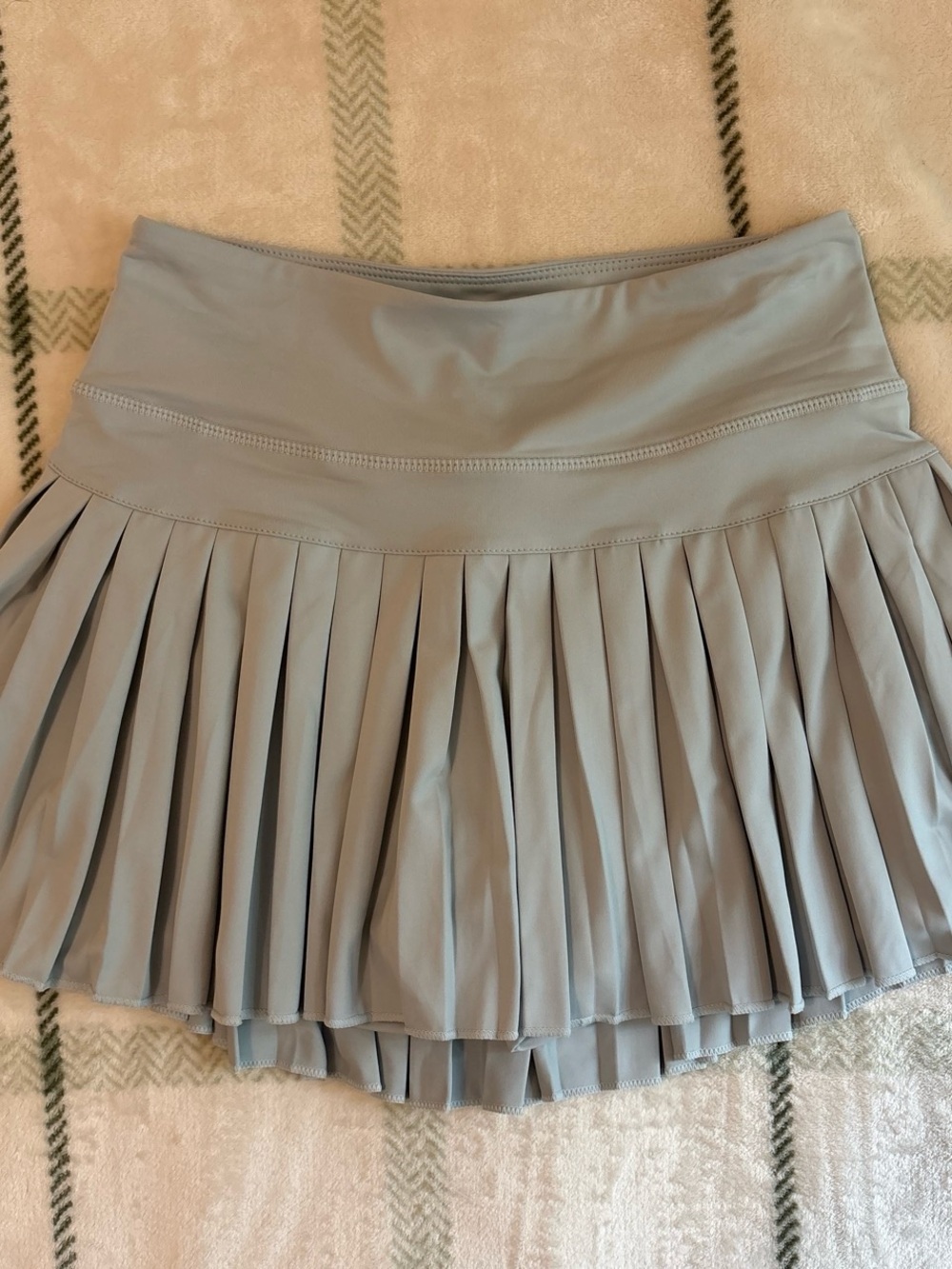 NWT GoldHinge Pleated Skirt